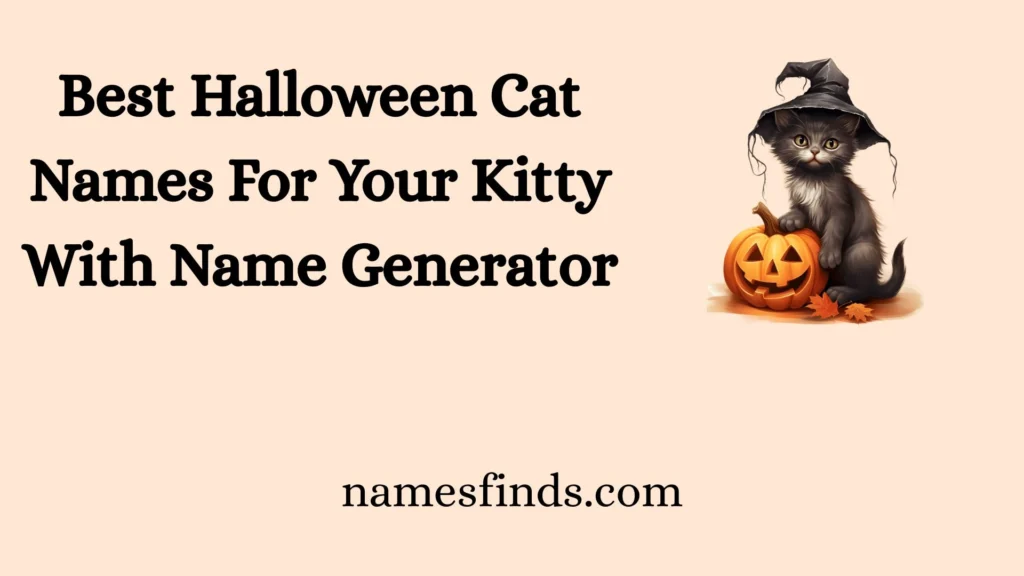 Best Halloween Cat Names For Your Kitty With Name Generator