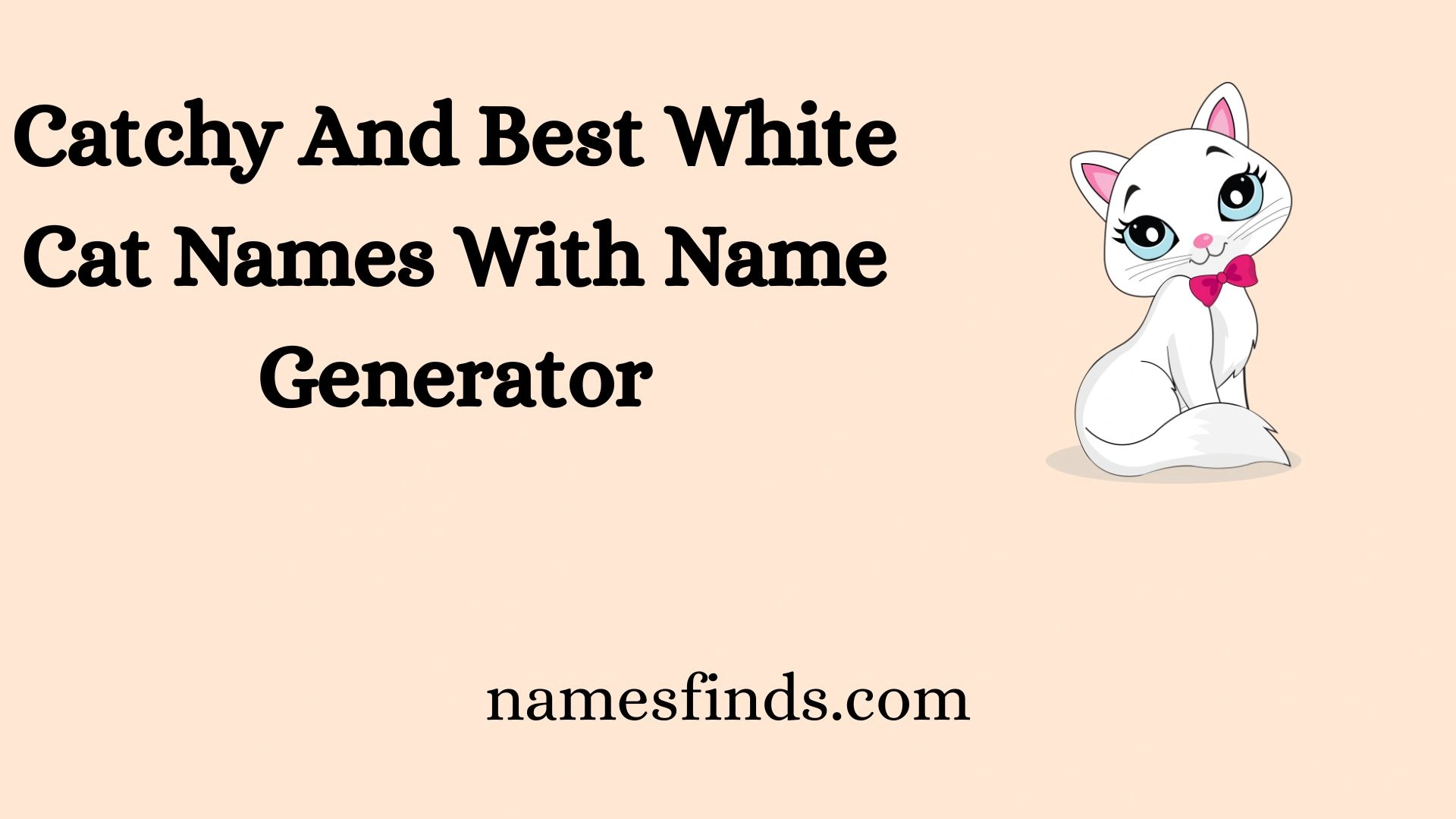 Catchy And Best White Cat Names With Name Generator