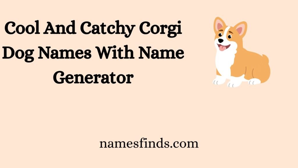 Cool And Catchy Corgi Dog Names With Name Generator