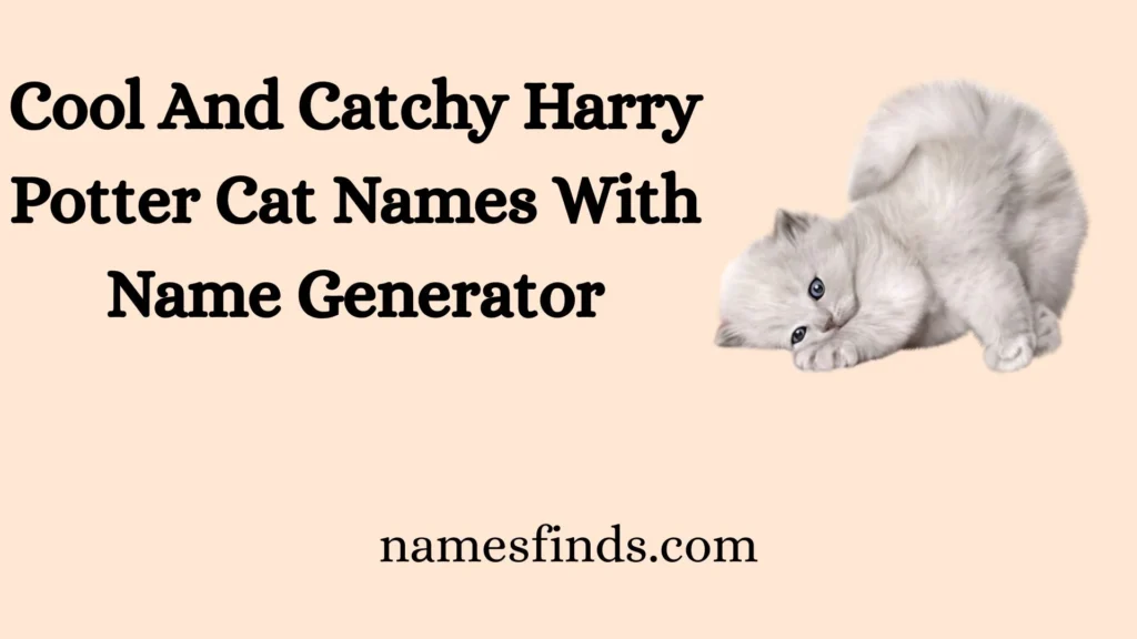 Cool And Catchy Harry Potter Cat Names With Name Generator