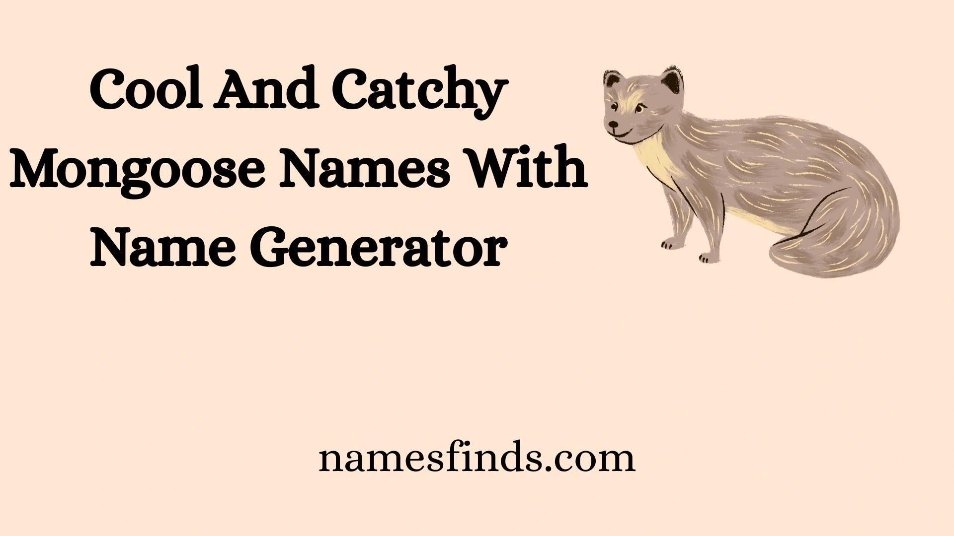 Cool And Catchy Mongoose Names With Name Generator
