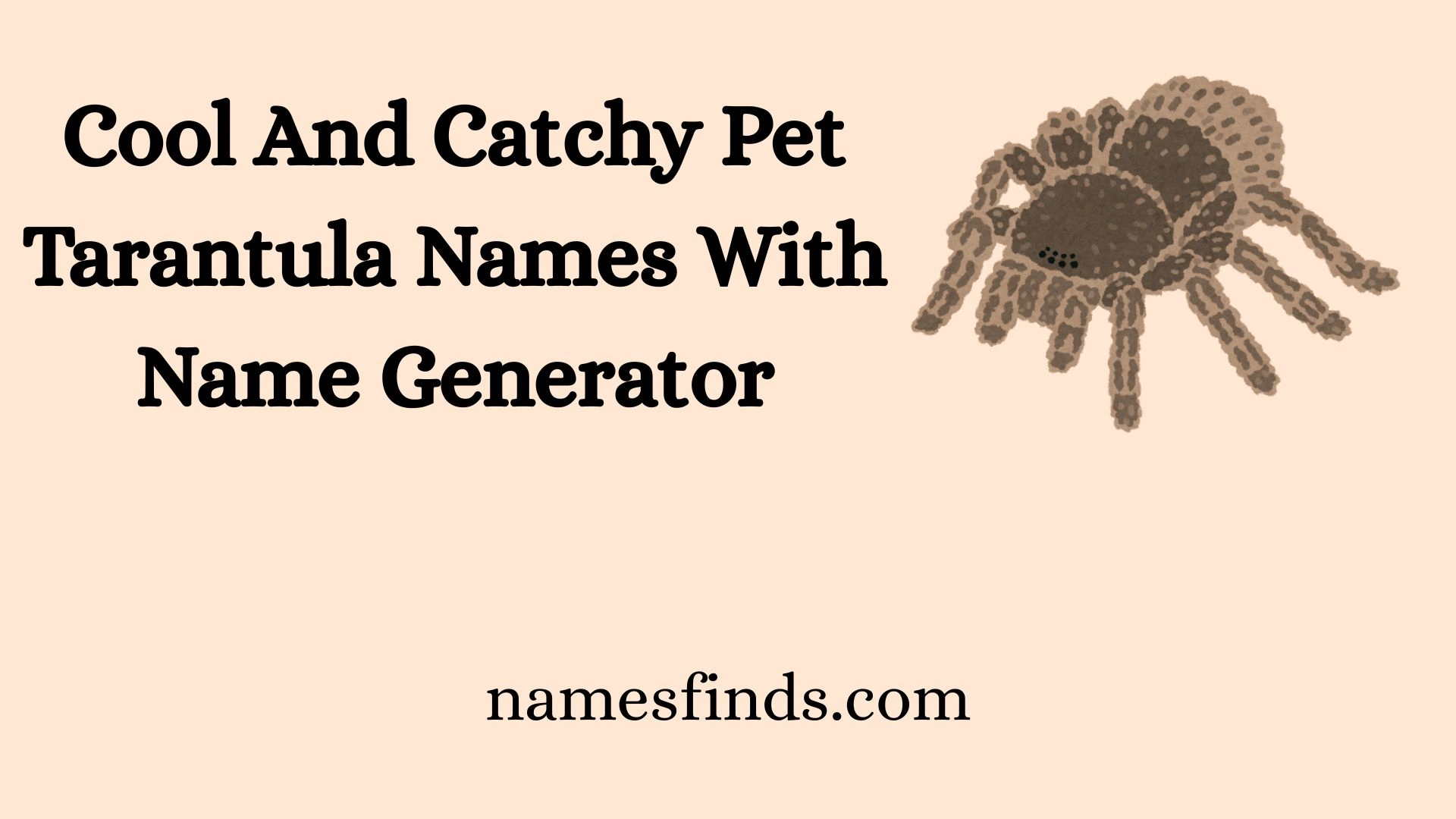 Cool And Catchy Pet Tarantula Names With Name Generator