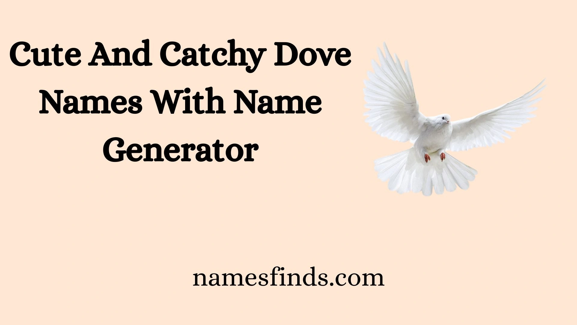 Cute And Catchy Dove Names With Name Generator