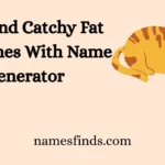 Cute And Catchy Fat Cat Names With Name Generator