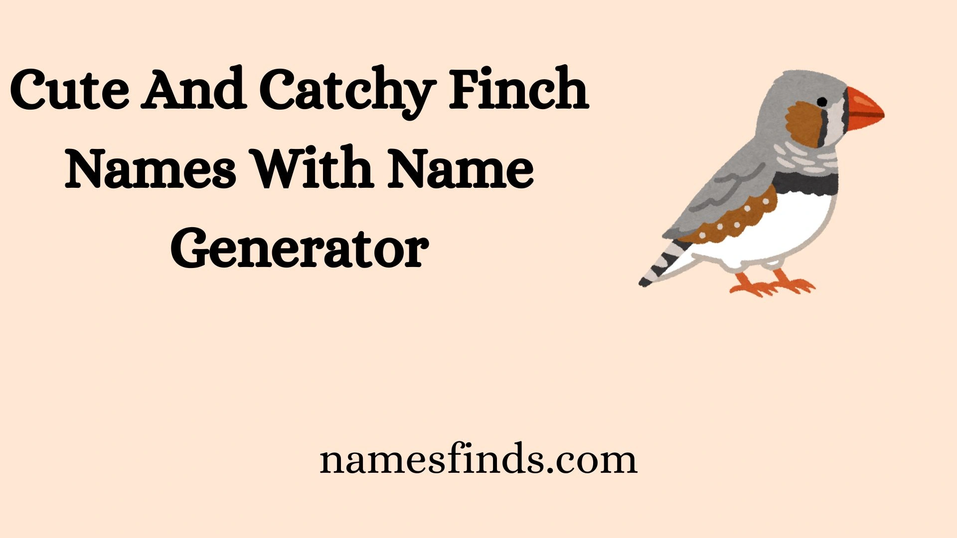 Cute And Catchy Finch Names With Name Generator