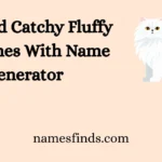 Cute And Catchy Fluffy Cat Names With Name Generator