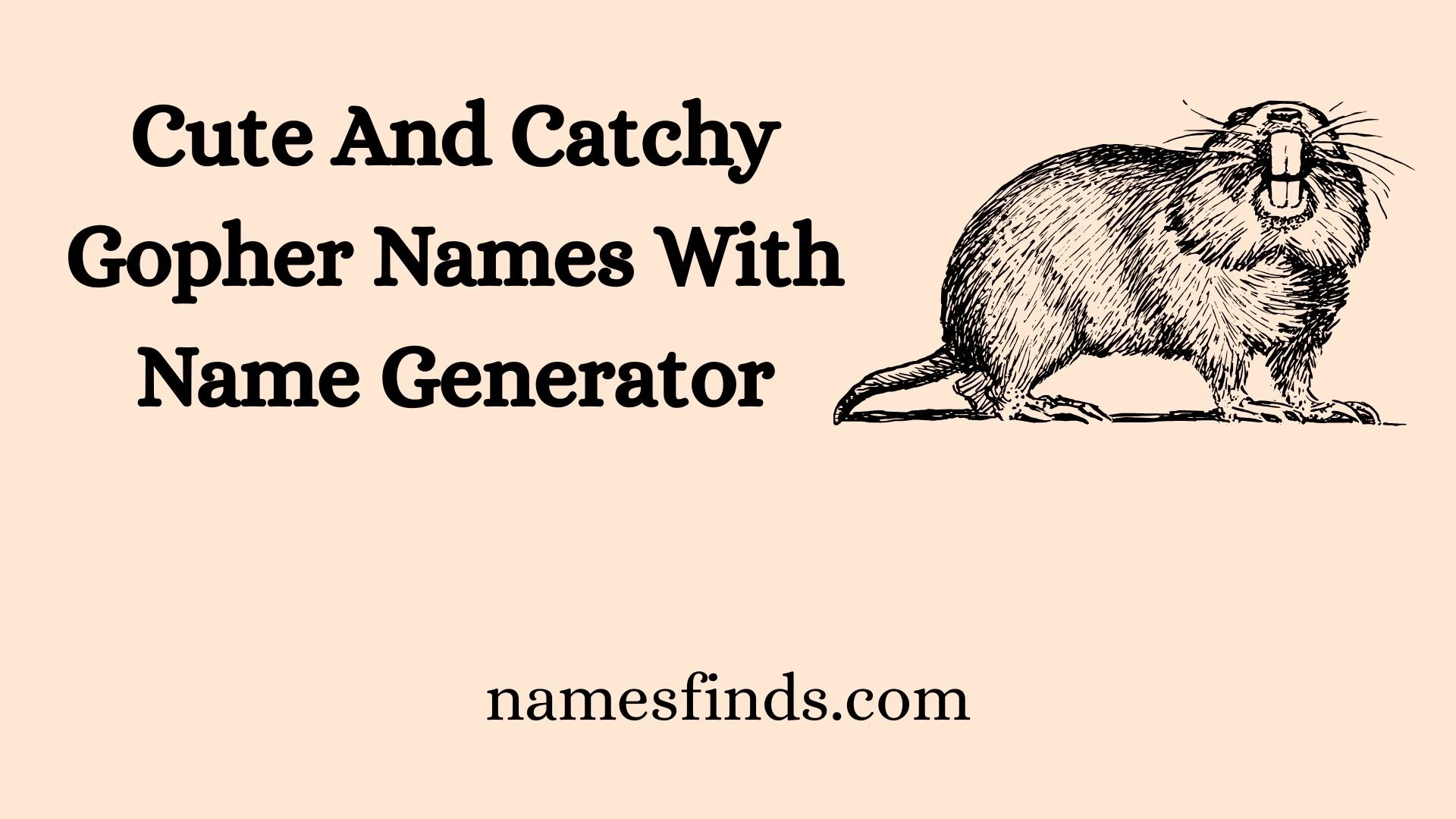 Cute And Catchy Gopher Names With Name Generator