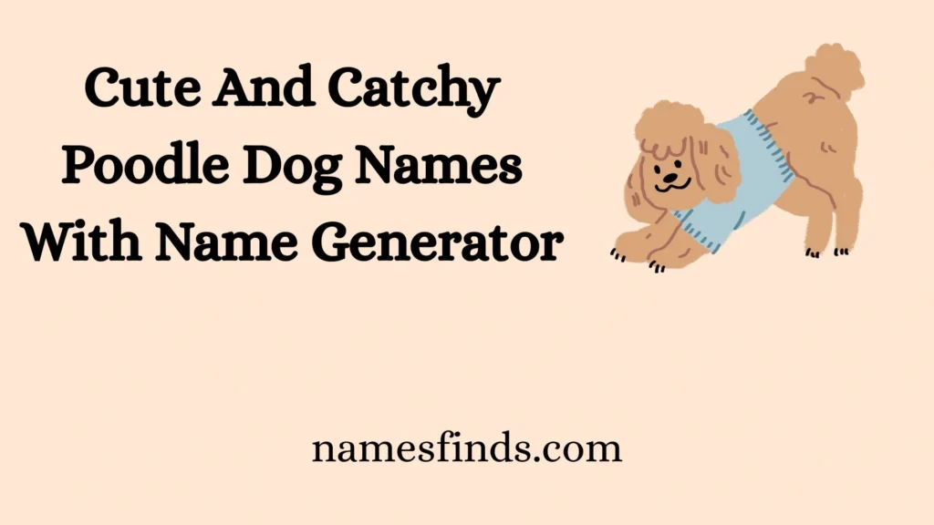 Cute And Catchy Poodle Dog Names With Name Generator