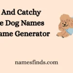 Cute And Catchy Poodle Dog Names With Name Generator
