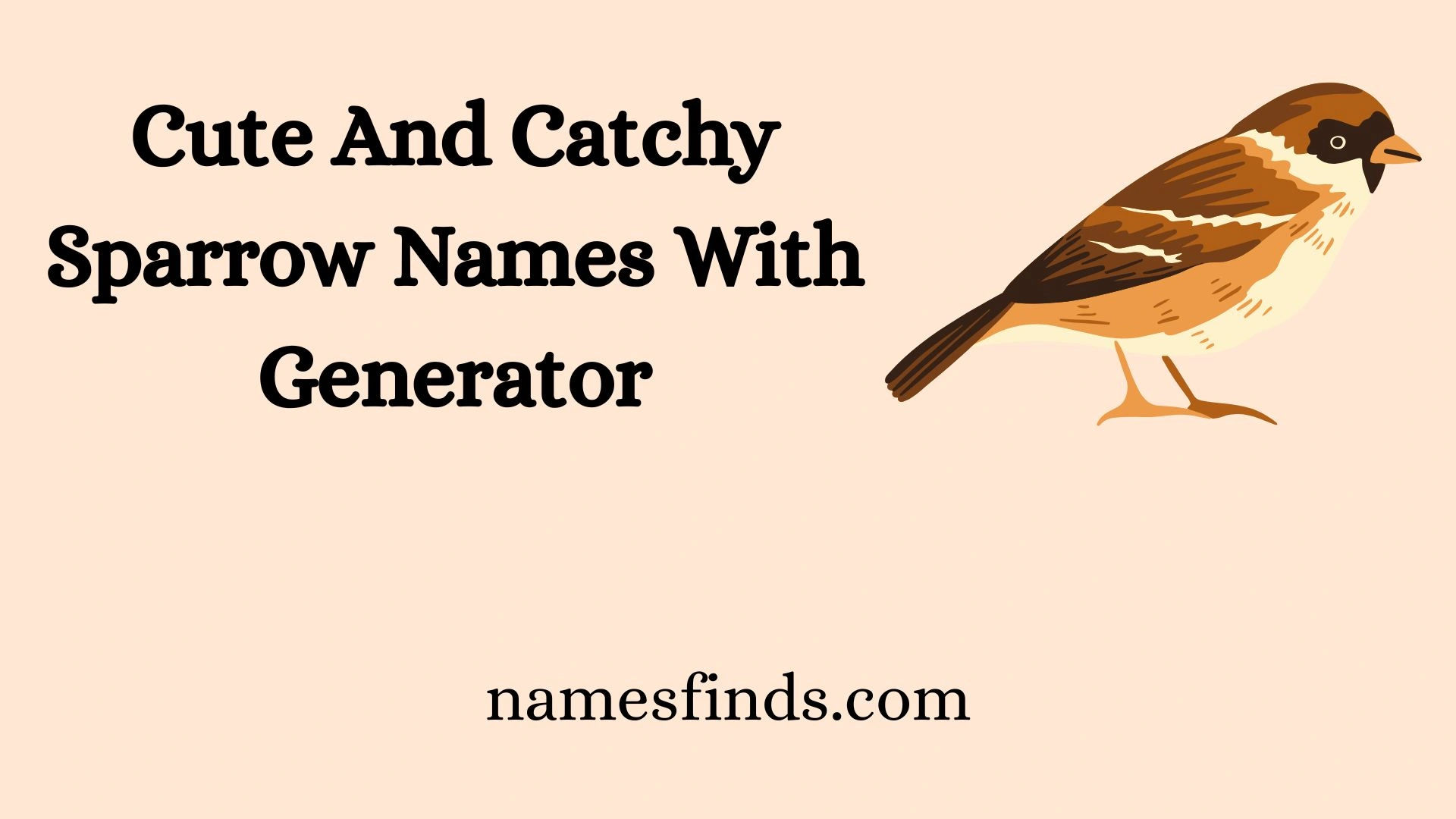 Cute And Catchy Sparrow Names With Generator