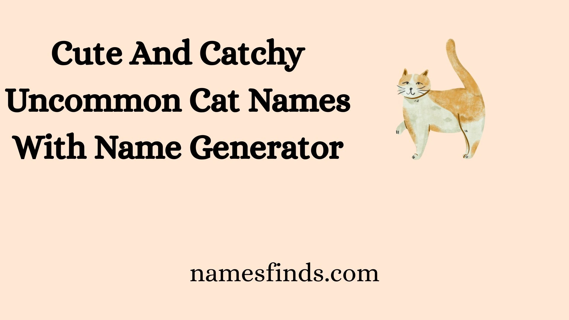 Cute And Catchy Uncommon Cat Names With Name Generator
