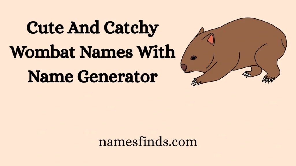Cute And Catchy Wombat Names With Name Generator