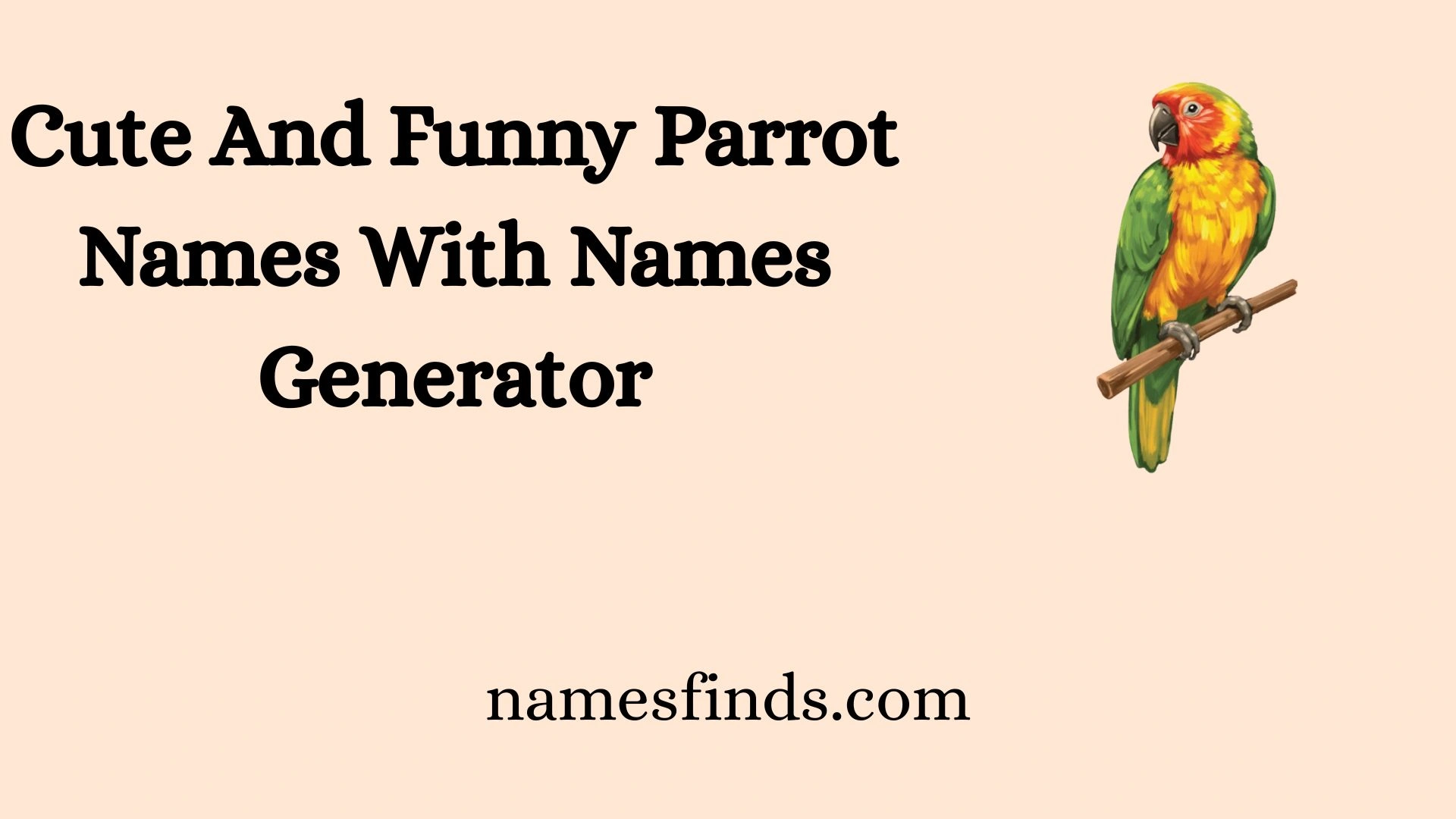 Cute And Funny Parrot Names With Names Generator