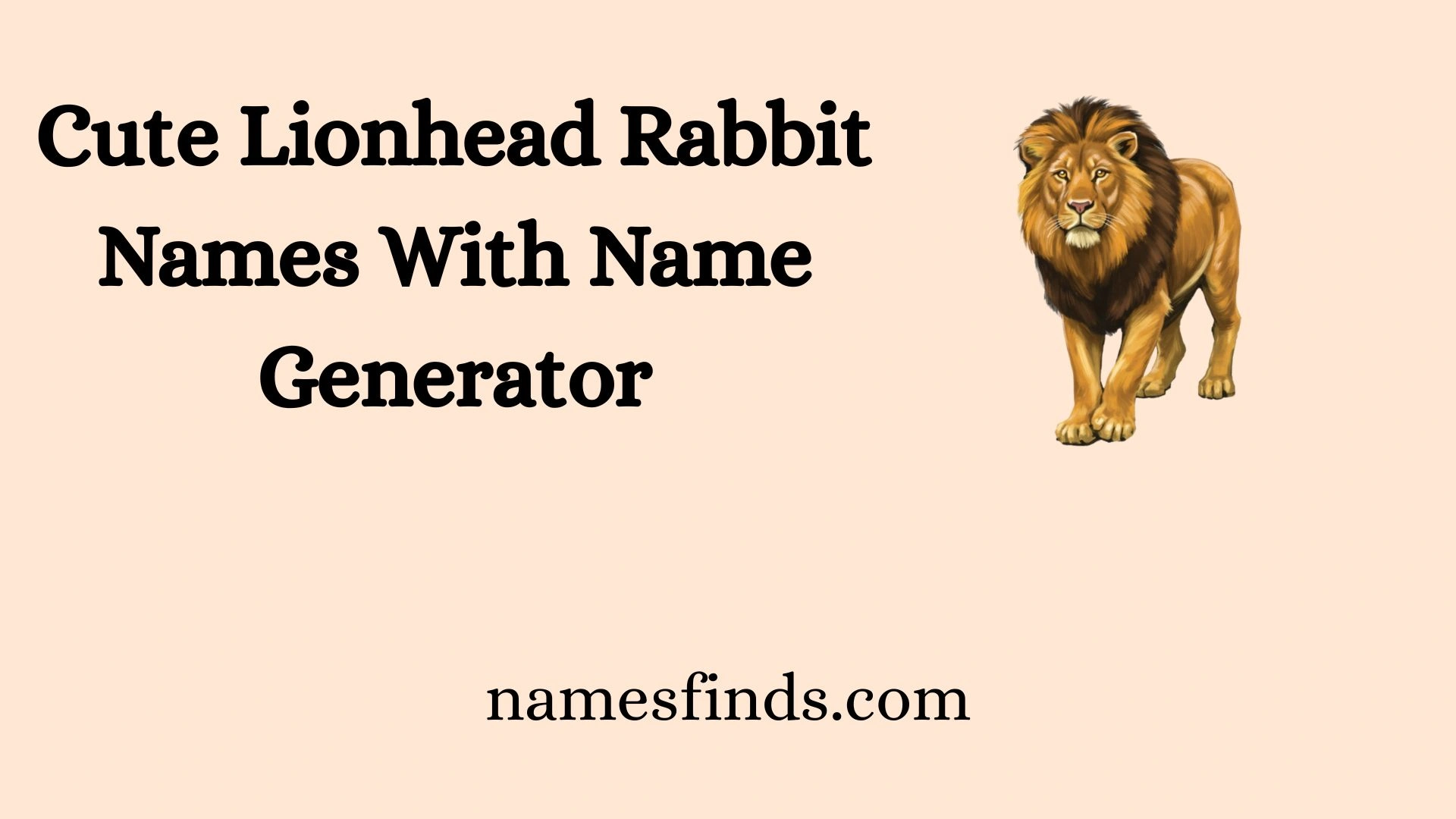 Cute Lionhead Rabbit Names With Name Generator