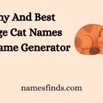 Funny And Best Orange Cat Names With Name Generator