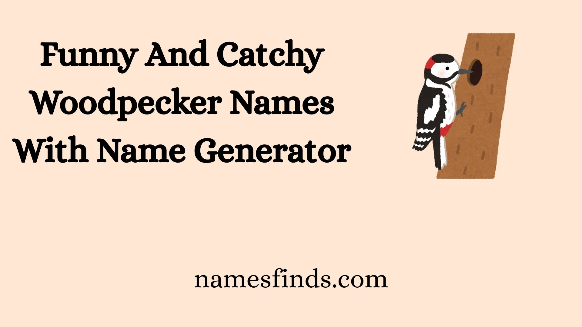 Funny And Catchy Woodpecker Names With Name Generator