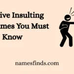 Creative Insulting Nicknames You Must Know
