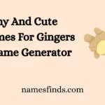 Funny And Cute Nicknames For Gingers With Name Generator