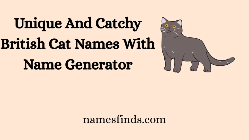 Unique And Catchy British Cat Names With Name Generator